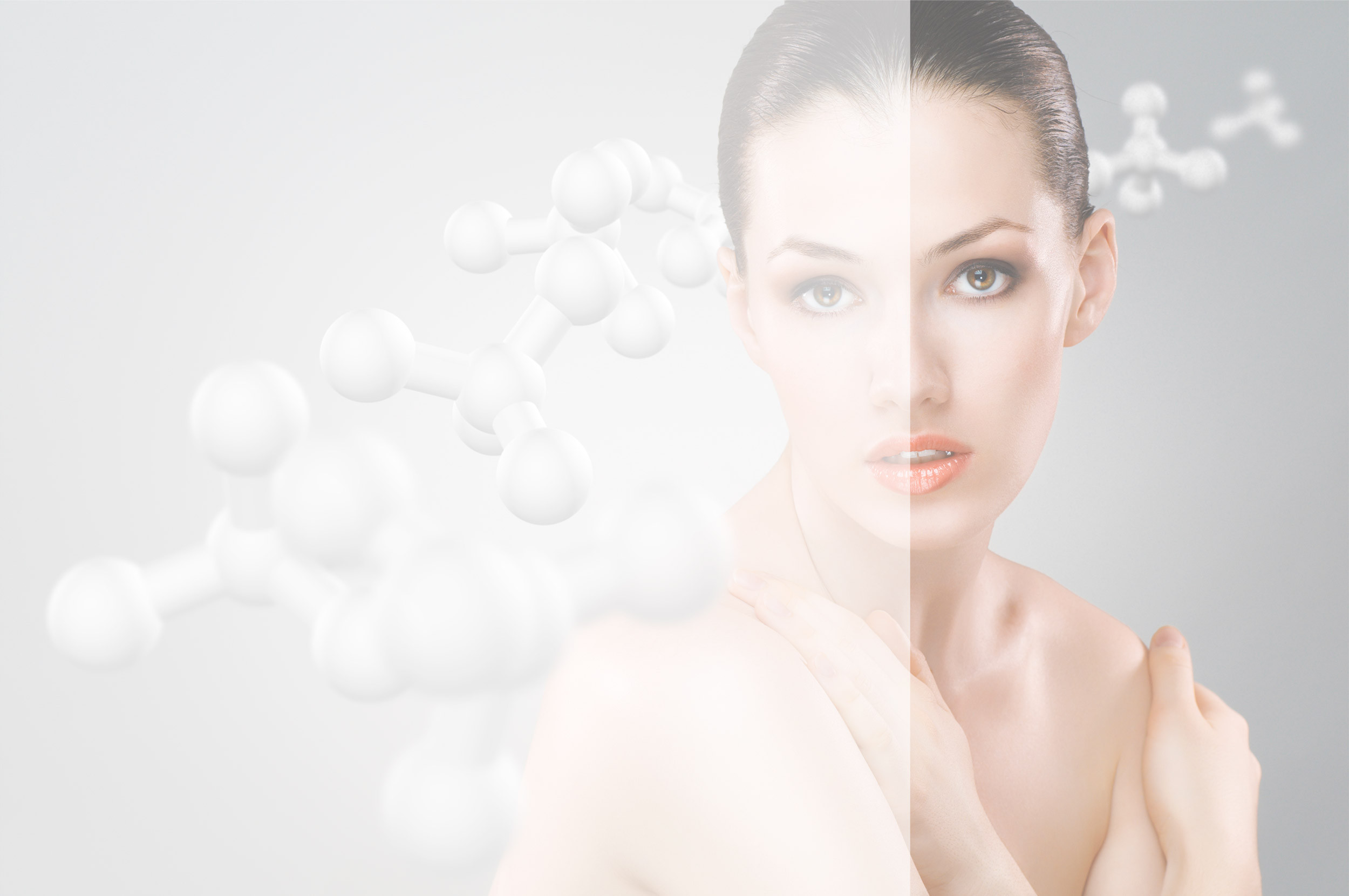 Protegolicanos mergusa